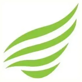 pegasussystems brand logo for pegasussystems.com