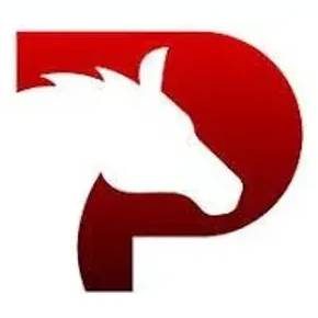 pegaxy brand logo for pegaxy.io