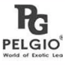 pelgio brand logo for pelgio.com
