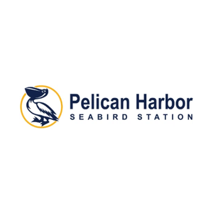 pelicanharbor brand logo for pelicanharbor.org