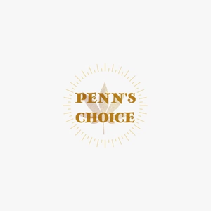 pennschoice brand logo for pennschoice.com