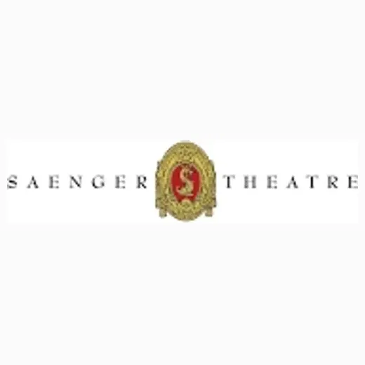 pensacolasaenger brand logo for pensacolasaenger.com