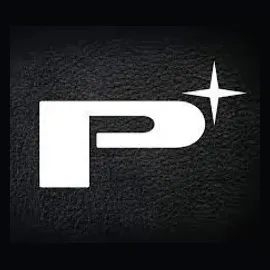 perfectionistautosound brand logo for perfectionistautosound.com
