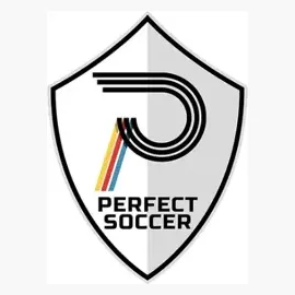 perfectsoccerskills brand logo for perfectsoccerskills.com