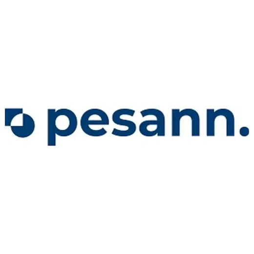 pesann brand logo for pesann.com