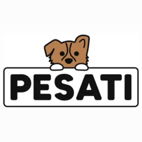 pesati brand logo for pesati.com