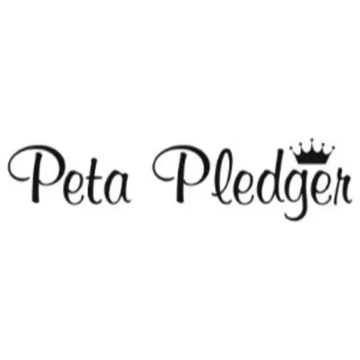 Bigcartel brand logo for petapledger.bigcartel.com