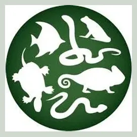 petkingdom brand logo for petkingdom.com