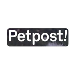 petpost brand logo for petpost.us