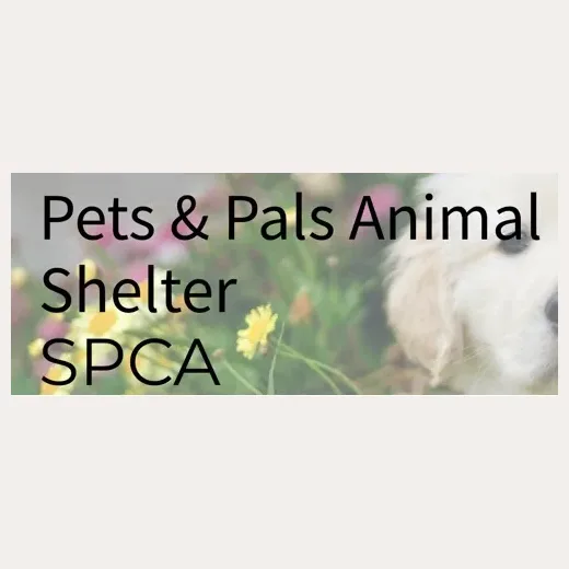 petsnpals brand logo for petsnpals.org