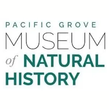 pgmuseum brand logo for pgmuseum.org
