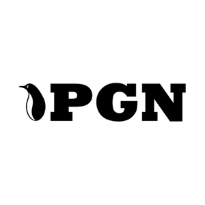 pgnbearings brand logo for pgnbearings.com