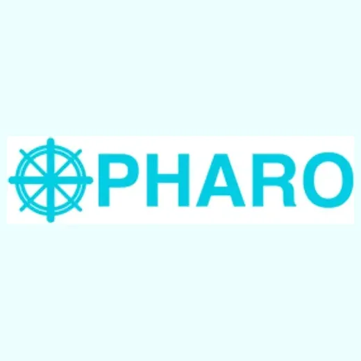 pharoacademy brand logo for pharoacademy.com