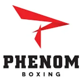 phenomboxing brand logo for phenomboxing.com