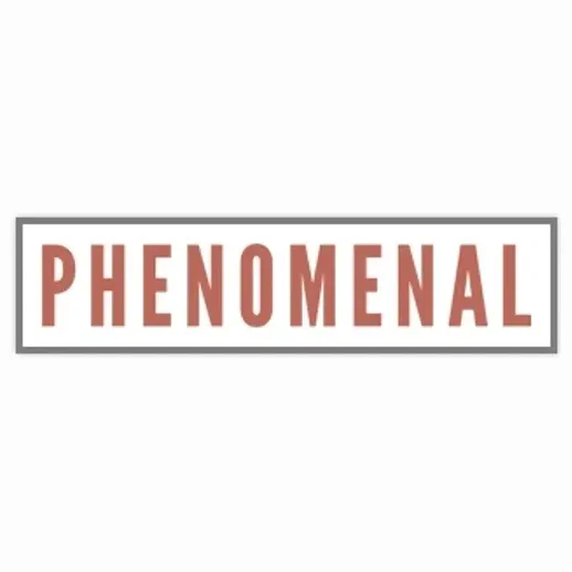 phenomenalmedia brand logo for phenomenalmedia.com