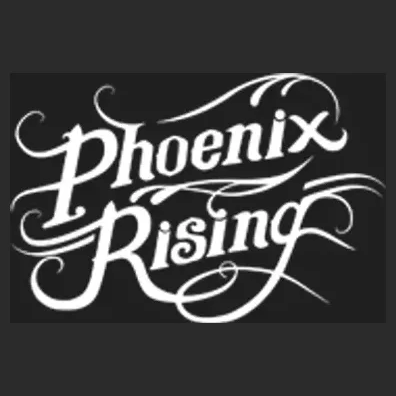 phoenixrisingartists brand logo for phoenixrisingartists.com