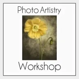 photoartistryworkshop brand logo for photoartistryworkshop.com