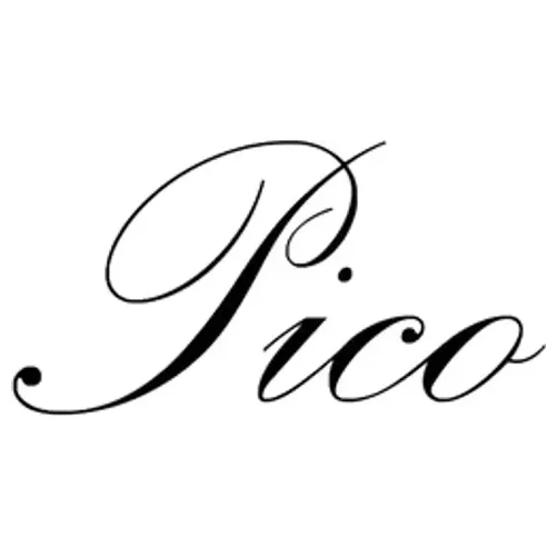 picocopenhagen brand logo for picocopenhagen.com