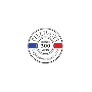 pillivuytshop brand logo for pillivuytshop.com