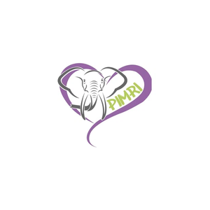 pimripediatrics brand logo for pimripediatrics.com