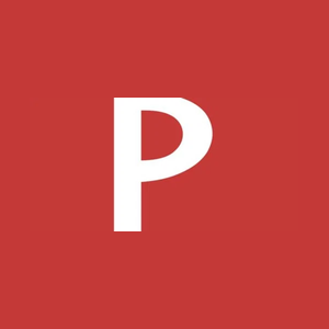 pinballsarcadegames brand logo for pinballsarcadegames.com