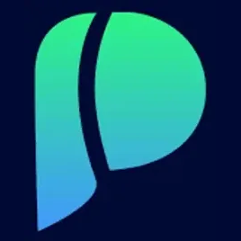 pincel brand logo for pincel.app