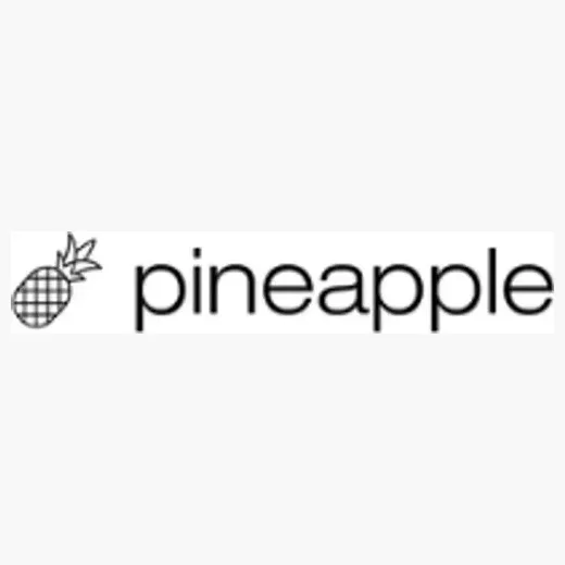 pineapplebuilder brand logo for pineapplebuilder.com