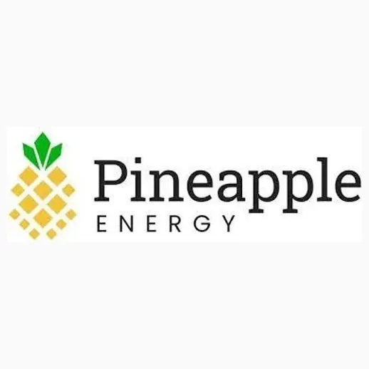 pineappleenergy brand logo for pineappleenergy.com