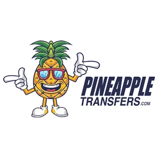 pineappletransfers brand logo for pineappletransfers.com