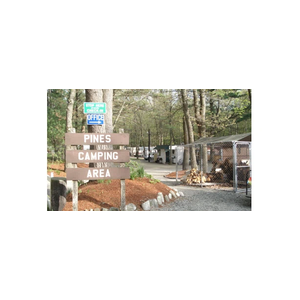 pinescampingarea brand logo for pinescampingarea.net