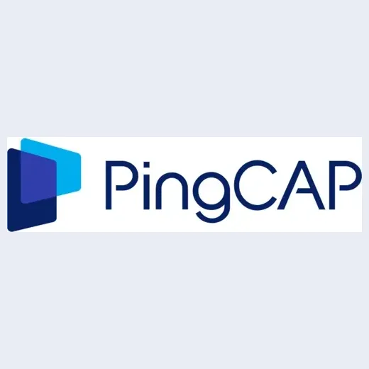 pingcap brand logo for pingcap.com