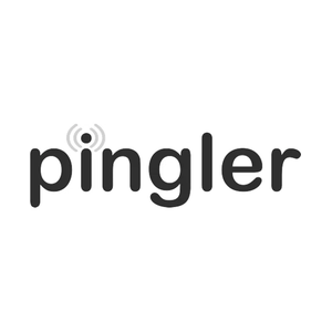 pingler brand logo for pingler.com