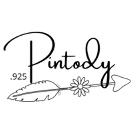 pintody brand logo for pintody.com