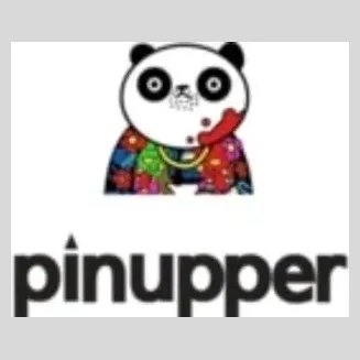 pinupper brand logo for pinupper.com