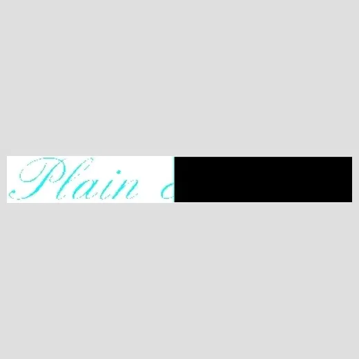 plainfancybb brand logo for plainfancybb.com