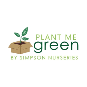 plantmegreen brand logo for plantmegreen.com