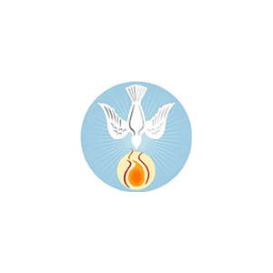 platinumautorepair brand logo for platinumautorepair.shop