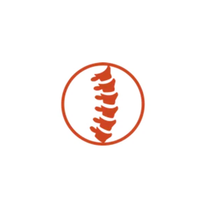 platinumchirocenter brand logo for platinumchirocenter.com
