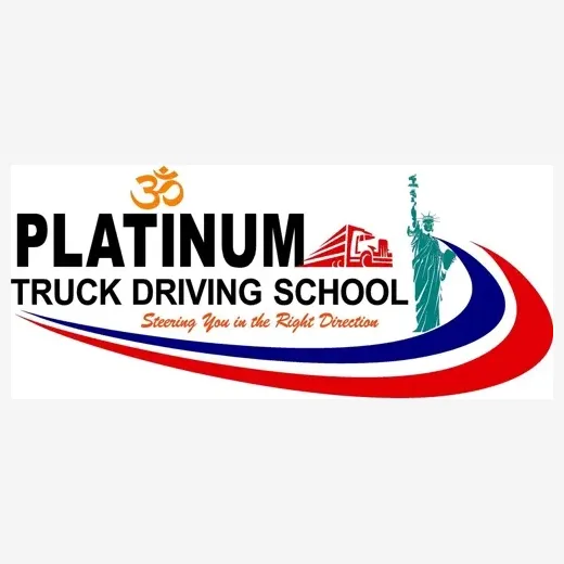 platinumplusdrivingschool brand logo for platinumplusdrivingschool.com