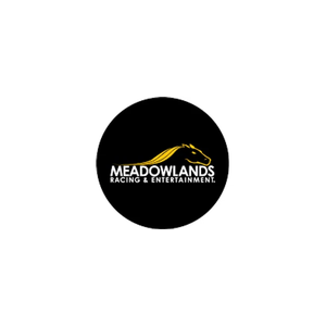 playmeadowlands brand logo for playmeadowlands.com