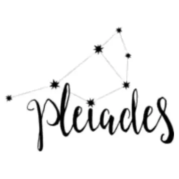 pleiades-designs brand logo for pleiades-designs.com