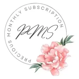 pmsbox brand logo for pmsbox.us