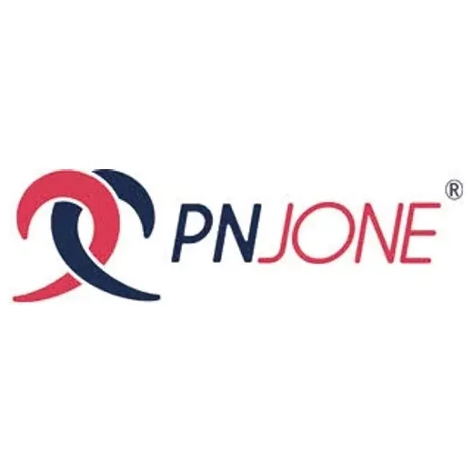 pnjone brand logo for pnjone.com