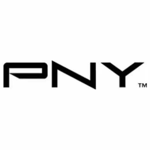 pny brand logo for pny.com