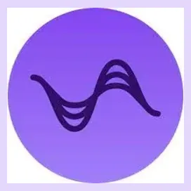 podwise brand logo for podwise.xyz