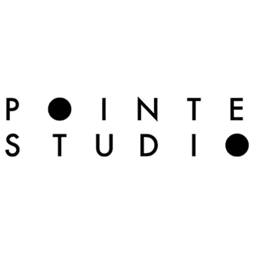 pointestudio brand logo for pointestudio.com