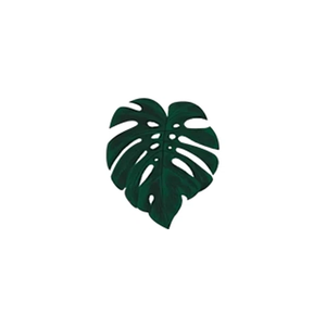 pointlessplants brand logo for pointlessplants.com