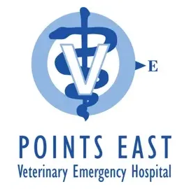 pointseastveh brand logo for pointseastveh.com