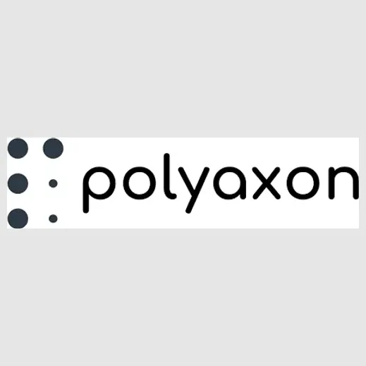 polyaxon brand logo for polyaxon.com