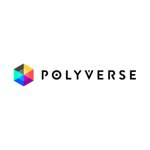 polyversemusic brand logo for polyversemusic.com